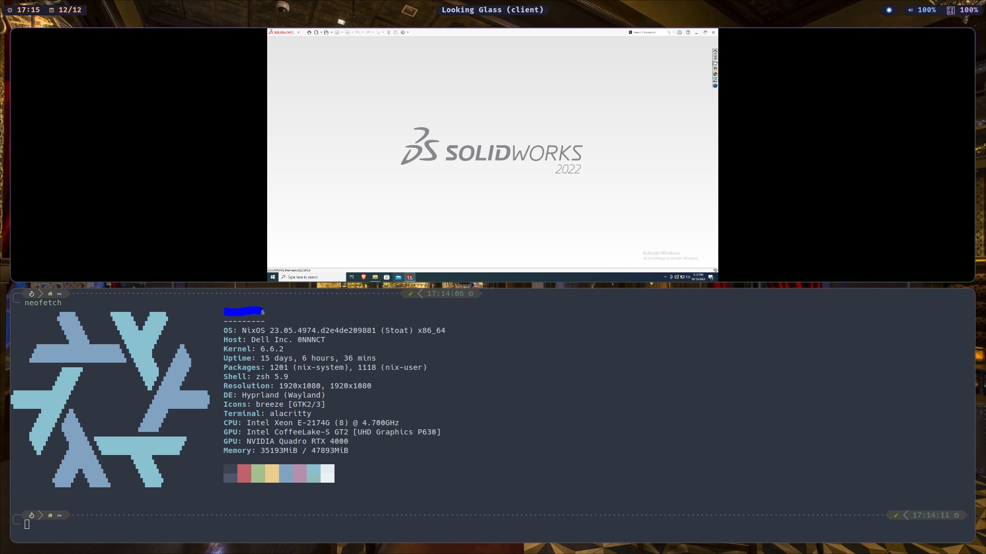 Solidworks running on a NixOS system